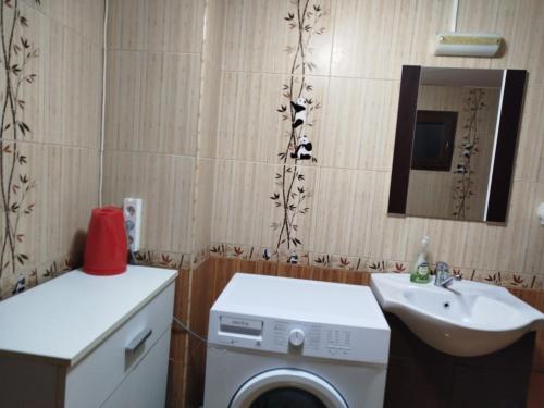 a bathroom with a washing machine and a sink at Casa cu amintiri in Bacău