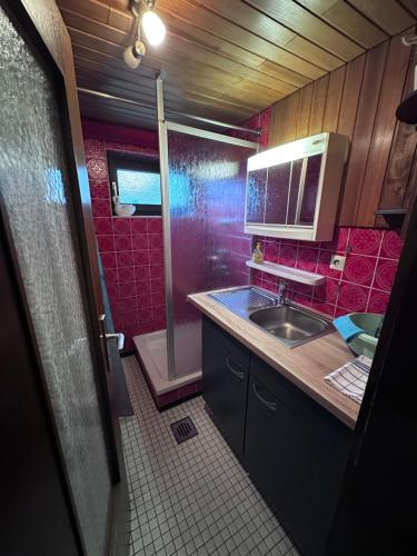 a bathroom with a sink and a shower with pink tiles at Braustüberl in Alpirsbach