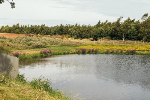 a pond in a field with a train in the background at Nest Farmhouse in Docking