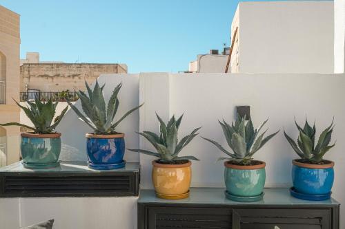 a group of four potted plants sitting on a shelf at The Bear and Ween in St Julian's