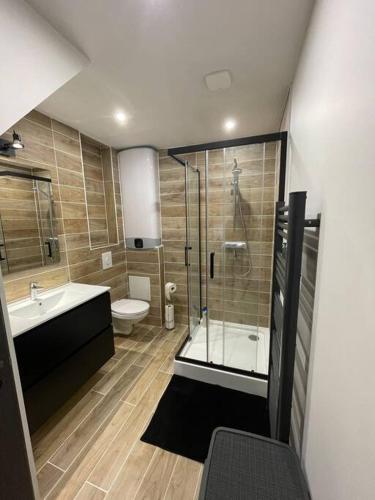 une salle de bain avec une douche, un lavabo et des toilettes dans l'établissement Logement cœur de Nancy, à Nancy