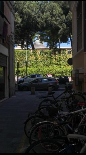 Ποδηλασία στο Gallico Savona centro ή στη γύρω περιοχή