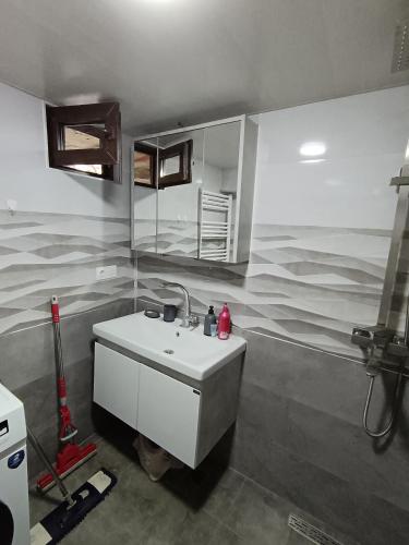a bathroom with a white sink and a mirror at Mery's Family Apartment in Tbilisi City