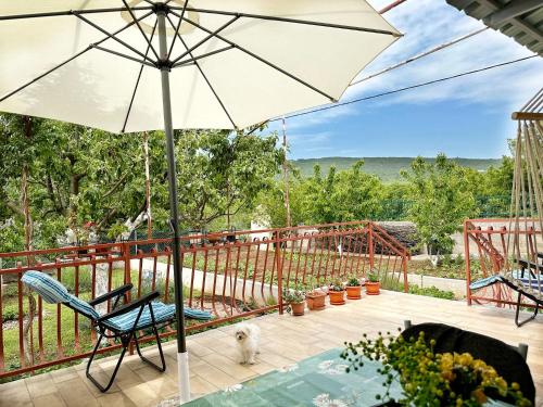 Zahrada ubytování House Tamy - with jacuzzi