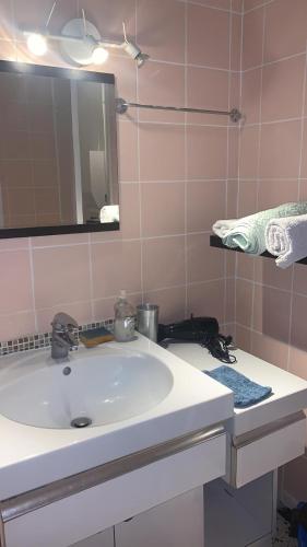 une salle de bain avec un lavabo blanc et un miroir dans l'établissement Chic F2 Rue Brevannes, à Boissy-Saint-Léger