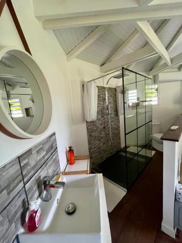 a bathroom with a sink and a shower at Gite Kazamax in Lamentin
