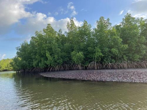 an island in the water with trees on it at Maison de campagne à Sipo in Sipo