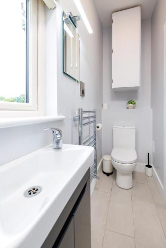 a white bathroom with a toilet and a sink at Stoneyford Luxurious Cabins in Stonyford