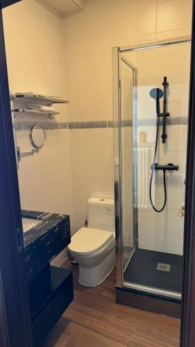a bathroom with a toilet and a glass shower at hotel whiteswan in Ehnen