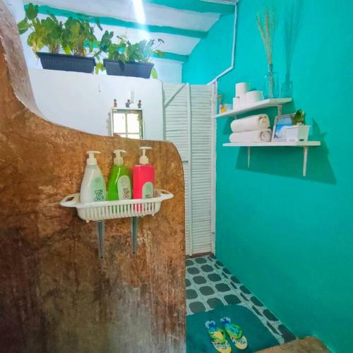 Un baño de Palm Haven
