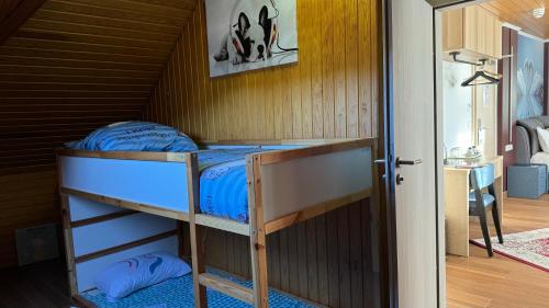 a bedroom with a bunk bed with blue sheets at hotel whiteswan in Ehnen