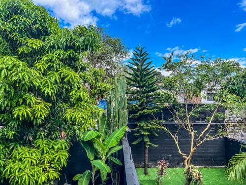 a view of a garden with trees and a fence at Antonia Poolside Autonomy Hotel in Ibagué