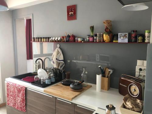 une cuisine avec un évier et un plan de travail dans l'établissement Soleil de mai, à Marseille