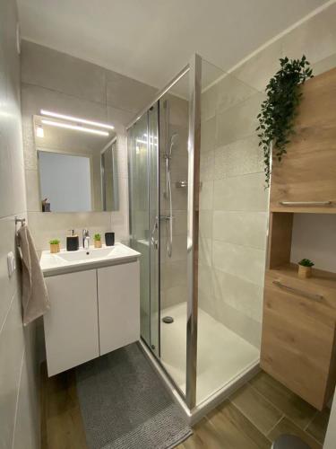 une salle de bain avec douche et lavabo dans l'établissement Proche Centre SANARY Studio climatisé 4 personnes, à Sanary-sur-Mer