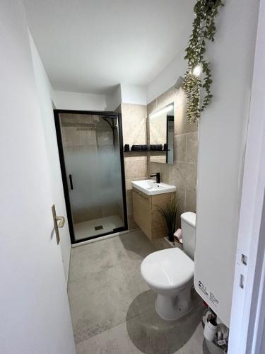 une salle de bain avec toilettes, douche et lavabo dans l'établissement Appart bord de mer vu montagne, à Banyuls-sur-Mer