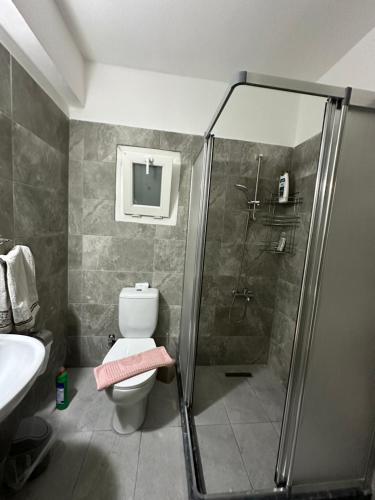 a bathroom with a shower and a toilet and a sink at 1C Newly renovated 2 bedroom flat in Kumsal