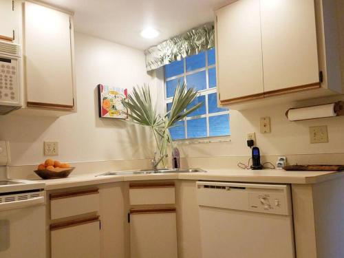 Η κουζίνα ή μικρή κουζίνα στο Lexi's Beach Loft