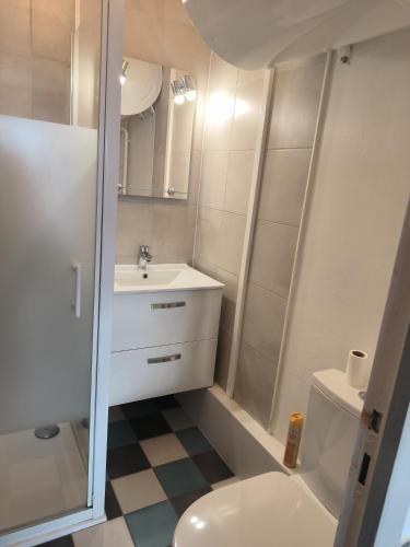 une petite salle de bain avec un lavabo et des toilettes dans l'établissement Charmant studio, à Le Tholy