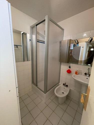 une salle de bain avec une douche, des toilettes et un lavabo dans l'établissement Appartement 70 m2 au coeur du village d'Allos 2 chambres 5 couchages, à Allos