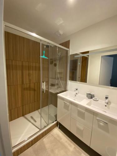 une salle de bain avec douche et lavabo dans l'établissement Les Pics du Courtat, à Luchon