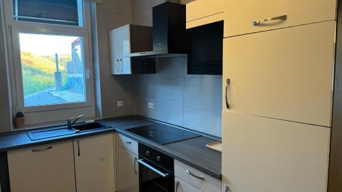 a kitchen with a white refrigerator and a sink at hotel whiteswan in Ehnen