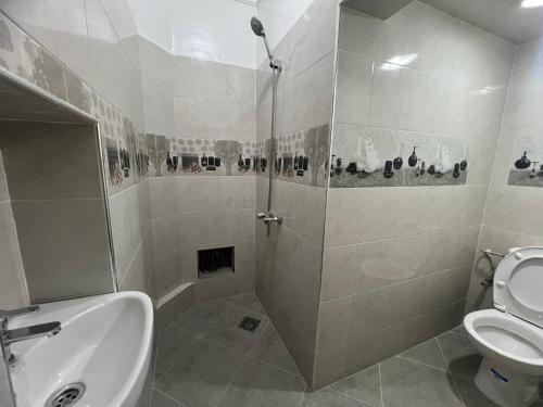 a bathroom with a shower and a sink and a toilet at Dar Calme Chez El Bouhali in Skoura
