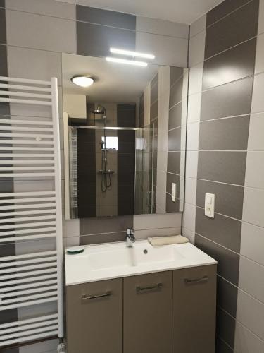 une salle de bain avec un lavabo et un miroir dans l'établissement wintzenheim: appartement, à Wintzenheim