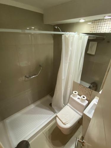 a bathroom with a toilet and a shower at Hotel Boutique Reyall in Santiago