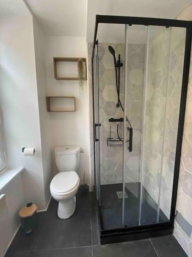 a bathroom with a toilet and a glass shower at Studio centre historique Dinan in Dinan