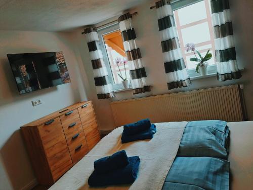 Katil atau katil-katil dalam bilik di Ferienhaus zu den Ilsefällen