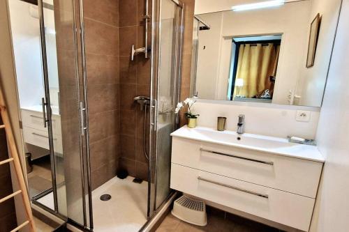 une salle de bain avec une douche, un lavabo et un miroir dans l'établissement Le Ciel Bleu Clim Wifi Garage, à Aix-en-Provence