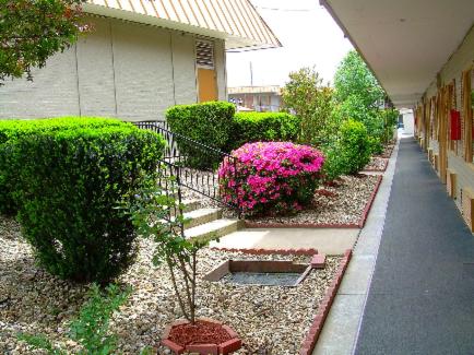 a garden with bushes and pink flowers and a building at Executive Inn and Suites Springdale in Springdale