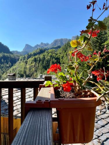 a balcony with a table with red flowers on it at Abri Vigneroisa appartamento Miserin in Champorcher