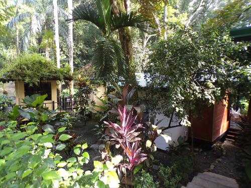 a garden with a palm tree and other plants at Riverside Villas in Manuel Antonio