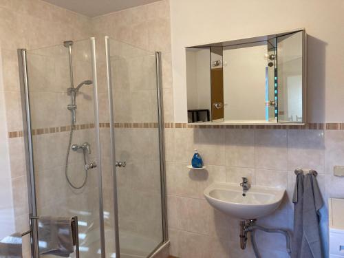 a bathroom with a shower and a sink at Alter Gutshof Kromlau Direkt am Schloss und Rhododendronpark, Terasse und Parkplatz in Kromlau