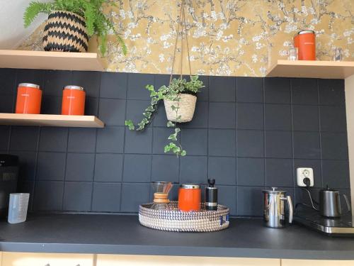a kitchen with blue tiled walls and a counter top at Vintage appartement in Pakhuis Friesland in centrum in Leeuwarden
