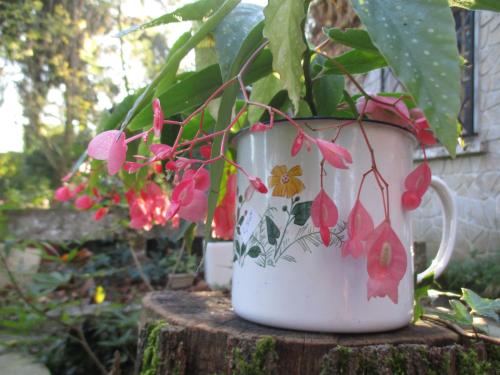a coffee cup with flowers painted on it sitting on a stump at Gîte Habas in Habas