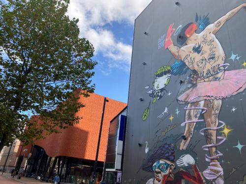 a mural of a woman on the side of a building at Vintage appartement in Pakhuis Friesland in centrum in Leeuwarden