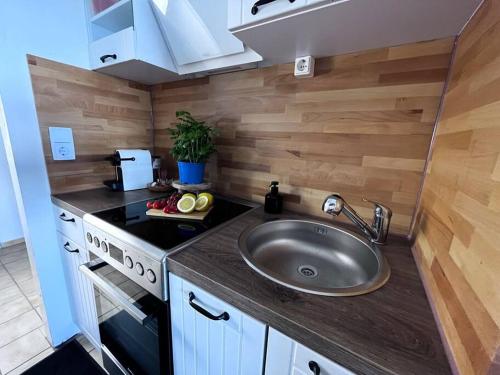 une cuisine avec un évier et un plan de travail dans l'établissement Apartment mit Grünblick & Wintergarten im Schwarzwald, à Löffingen