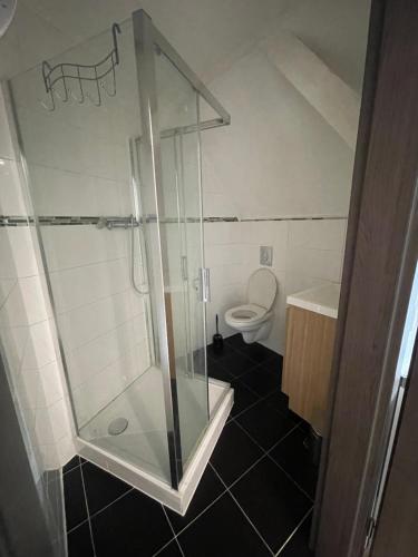 モルスアイムにあるStudio 1のシャワーとトイレ付きのバスルーム