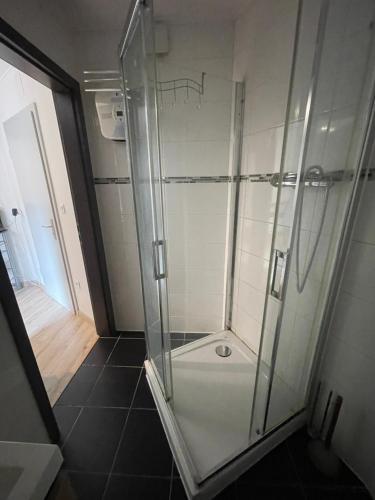 une douche avec une porte vitrée dans une salle de bain dans l'établissement Studio 1, à Molsheim