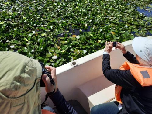 two people taking pictures of plants with their cameras at Hostería Jasy in Colonia Carlos Pellegrini