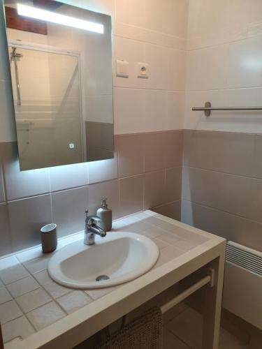 a bathroom with a sink and a mirror at La Bergerie in Saigneville