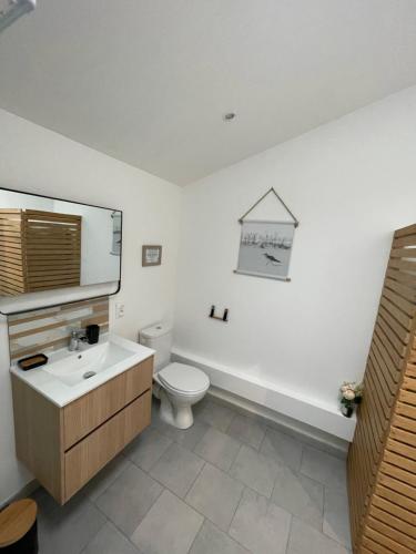 a white bathroom with a toilet and a sink at Les Hirondelles B in Le Crotoy
