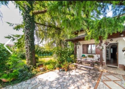 an exterior view of a house with a tree at Villetta indipendente Shabby house in Buia