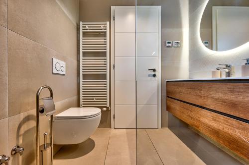 a bathroom with a toilet and a sink at Villa Paronich in Barban