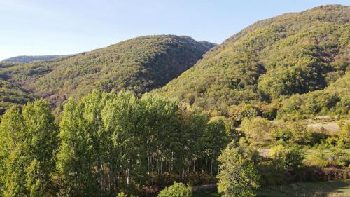 auliculiculiculiculiculiculiculiculiculiculiculiculiculiculic at Alseides Boutique Hotel & Spa in Elatochori