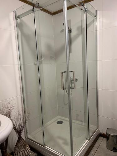 a shower with a glass door in a bathroom at Hostal Amerindia in Puerto Natales