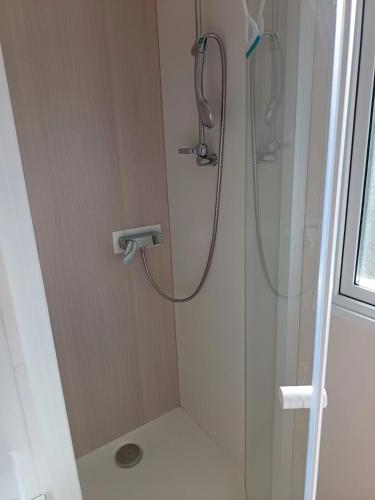 une douche avec pommeau de douche dans une salle de bain dans l'établissement 