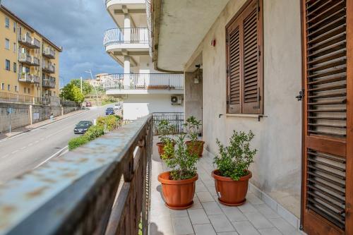 a balcony with potted plants on the side of a building at MontagnaVivaCilento in Piaggine